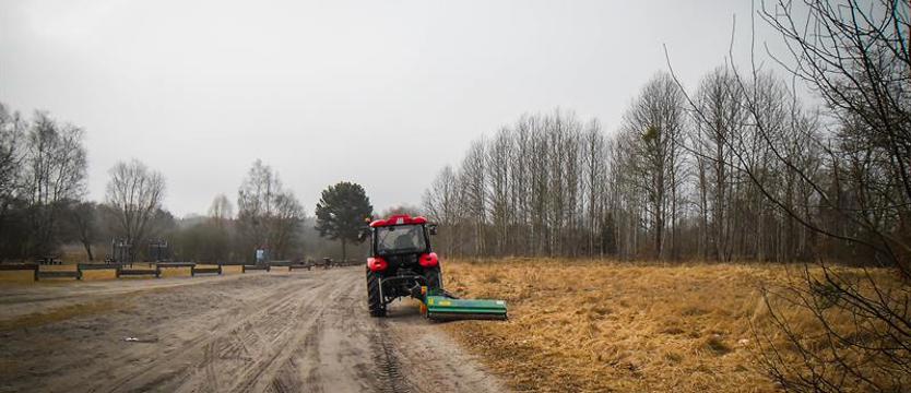 Sadzenie nad Jelenim Stawem