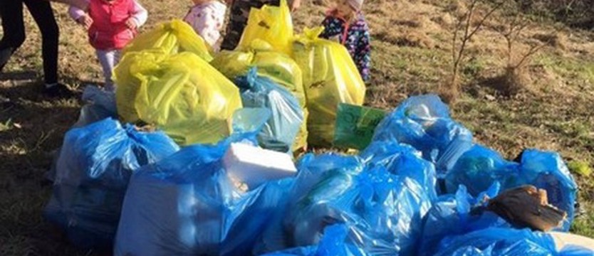 Mali Społecznicy uporządkowali Bajkową Polankę