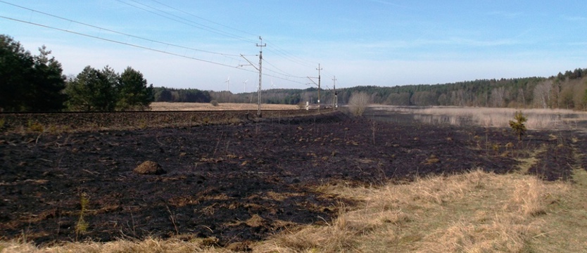 Pożar przy torach