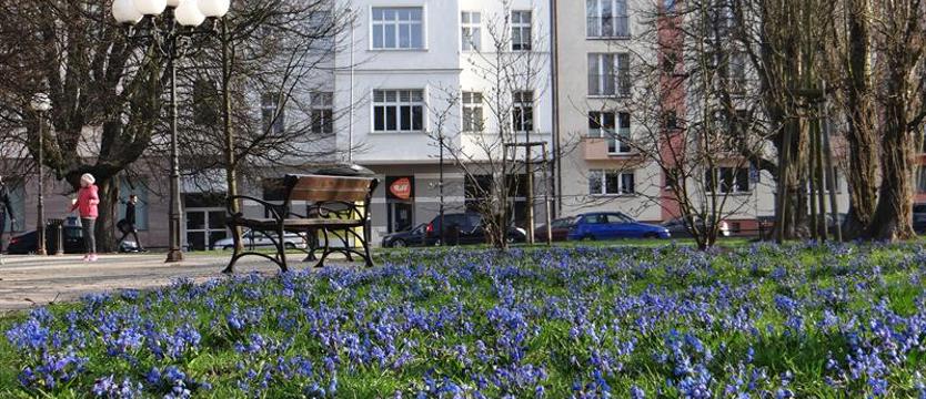 Błękitne „pierzyny”