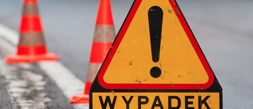 Samochód uderzył w drzewo. Zginął kierowca