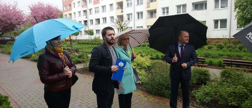 Nowa zieleń dla Szczecina
