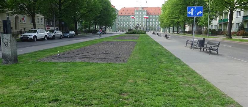 Cały Szczecin w kwiatach? Oczywiście, że tak!