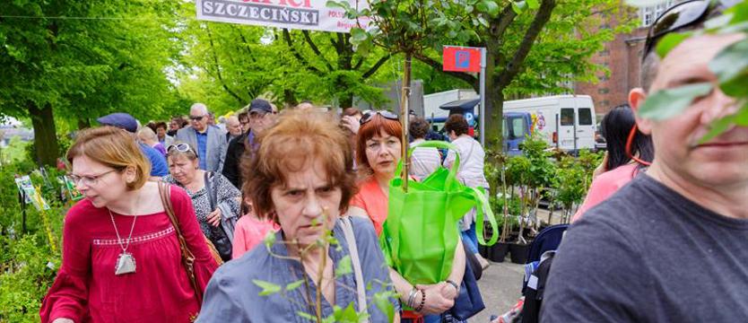 Czekając na ogród Wałów Chrobrego