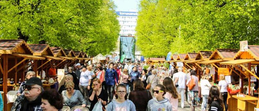 Poznaj Skandynawię i wikingów
