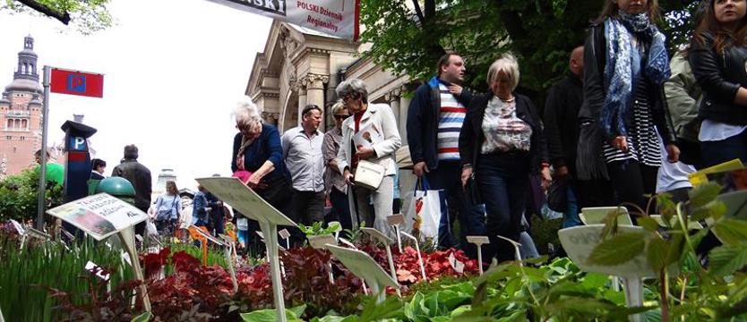 Ogród Wałów Chrobrego czyli kiermasz na weekend