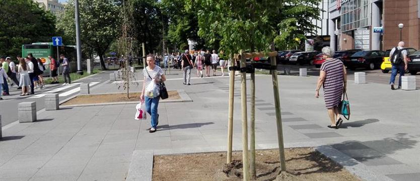 Kto podlewa młode drzewa