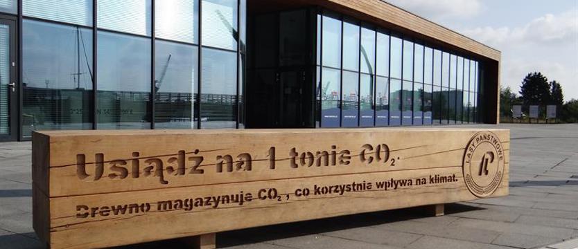 Usiądź na jednej tonie CO2, czyli instalacja ku pamięci