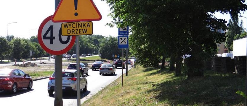 Zieleń kontra ścieżka rowerowa…