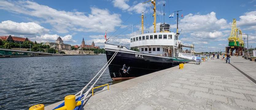 Parostatek przy dźwigozaurach