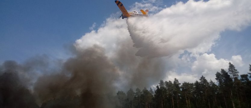 Groźne pożary lasów w regionie