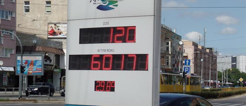 Upał zatrzymany w kadrze