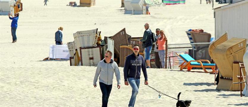 Wszędzie z psem? Nie zawsze! Cztery łapy na plaży