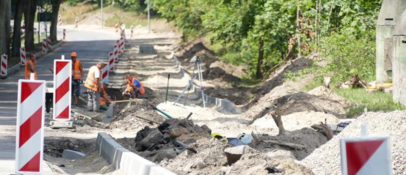 Makabryczne odkrycie. Szczątki ludzkie przy drodze