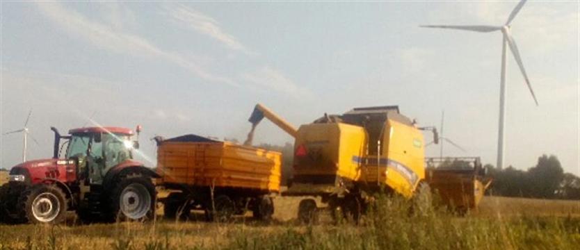 PSL: rząd musi pomóc rolnikom