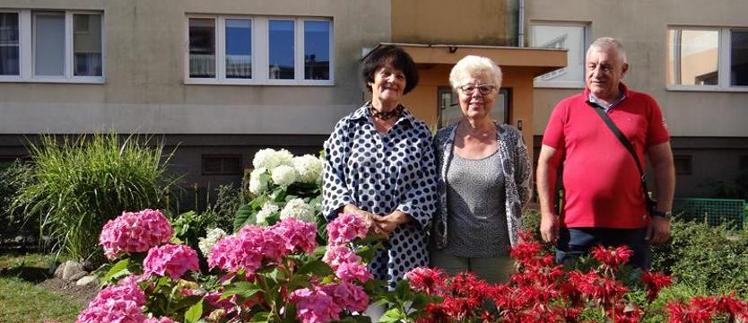 Podwórko z ogrodem dla siebie i sąsiadów
