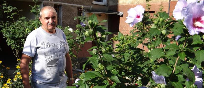Cały Szczecin w kwiatach. Hibiskusy, hortensje, róże i podwórka