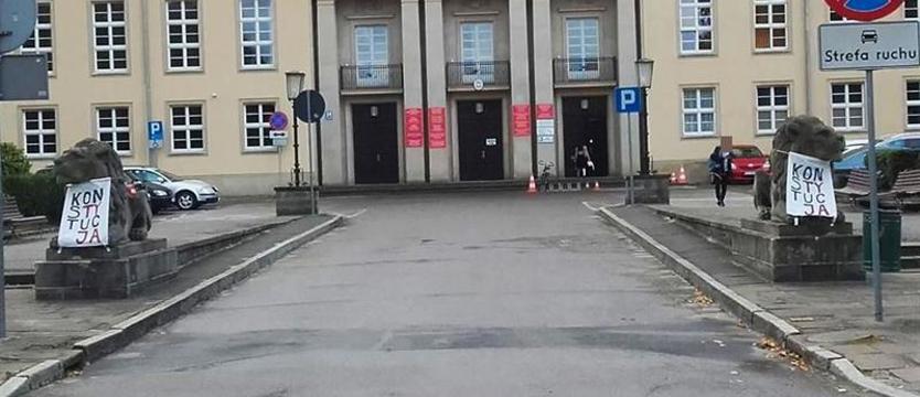 Lwy ubrane w koszulki. Policja wszczęła postępowanie