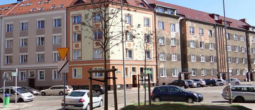Każdego drzewa żal