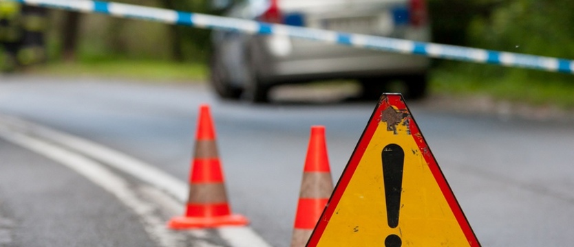 Kierowca przysnął. Autobus z kolonistami ściął drzewko
