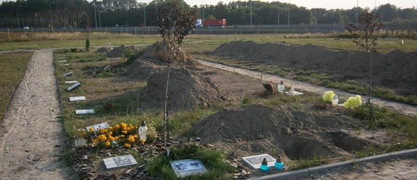 Kto okradł „Tęczową Krainę”?