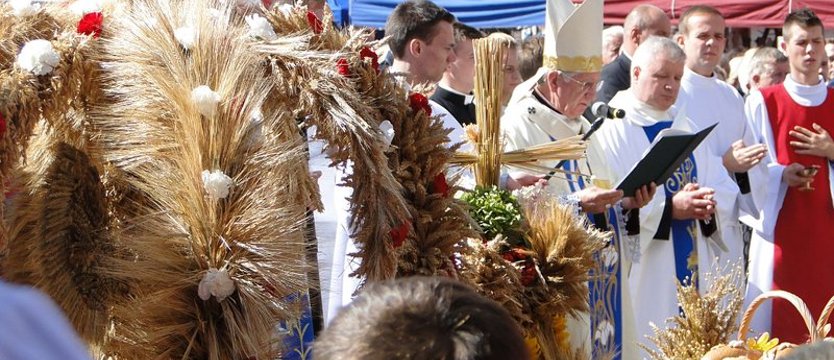 Archidiecezjalne święto plonów w Gryfinie