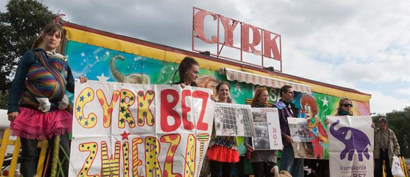 Basta! zaprotestuje przeciwko cyrkom