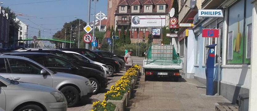 Pieszy w (kolejnym) planie