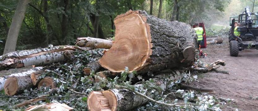 Ciężki sprzęt dla... ochrony bioróżnorodności