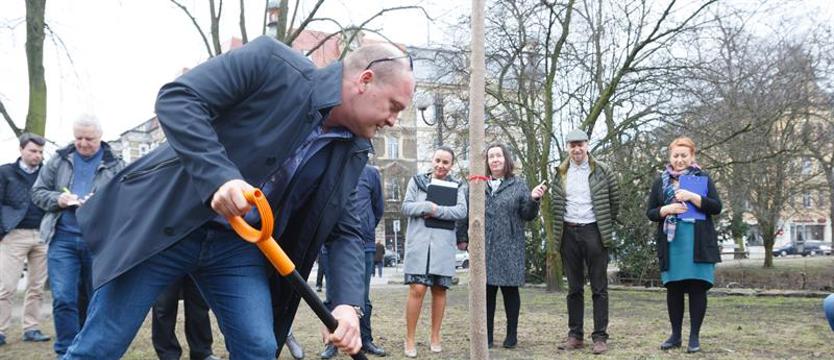 Gorąca jesień w zieleni