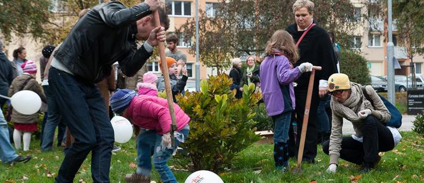 Przybędzie krokusowych dywanów