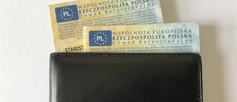 Jeździmy bez dowodu rejestracyjnego. Wystarczy prawo jazdy