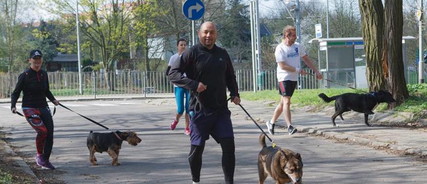 Schronisko otwarte dla wszystkich