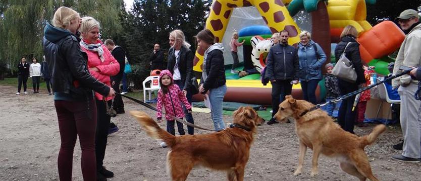 Schronisko z zamkami i w... wyjątkowo radosnym oblężeniu