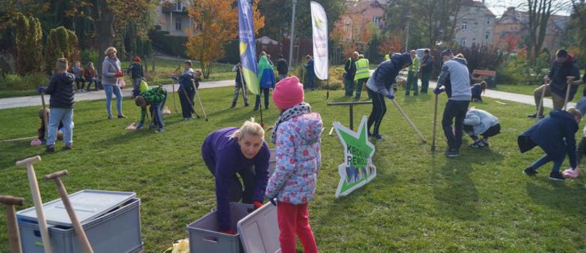 Krokusy na Plantach