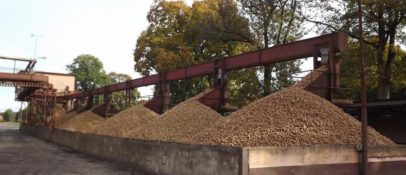 Skrobia made in Poland