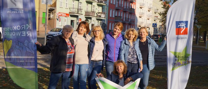 Tydzień pod znakiem krokusów