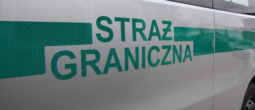 Kradł w duńskich salonach samochodowych