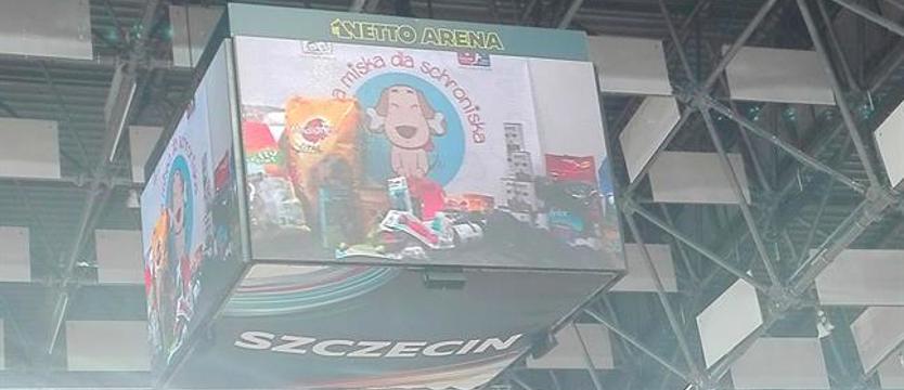 Dla bezdomnych psiaków i kociaków