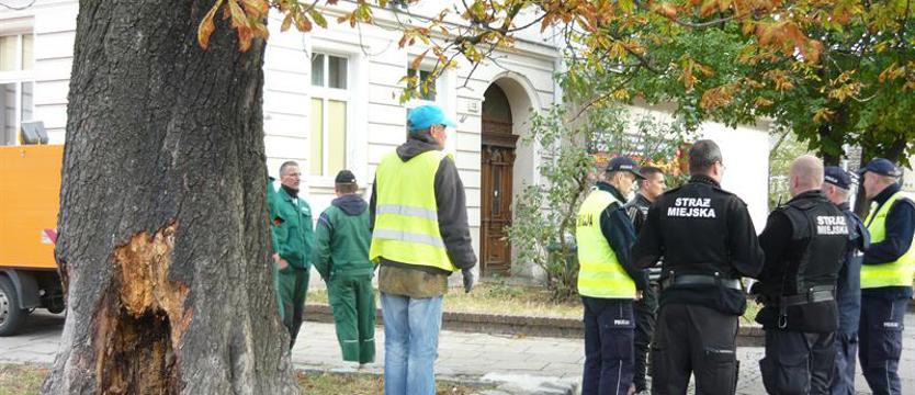 Protest i argumenty pod kasztanowcem