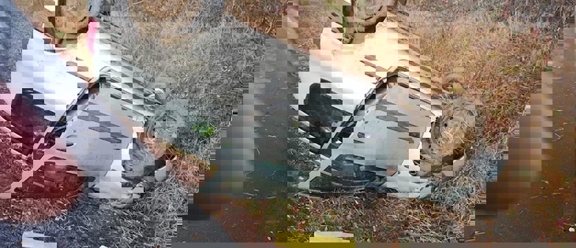 Dachowanie przed Będargowem