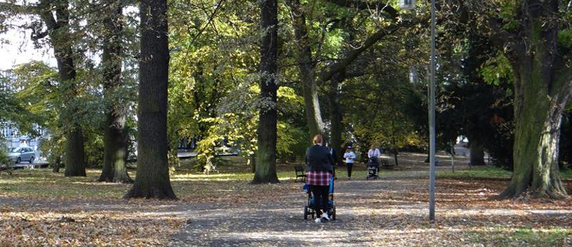 Park Żeromskiego niemal bez zmian
