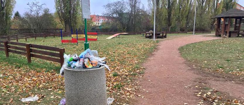 Pieska sprawa