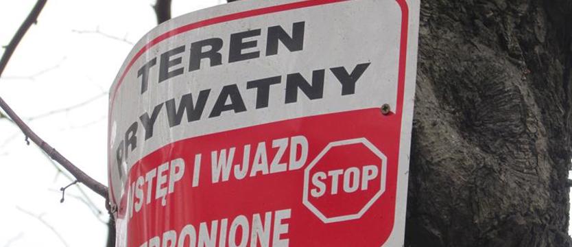 Gwoździe w drzewach