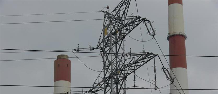 CBA zatrzymało dwie osoby ws. korupcji przy zakupach biomasy dla Elektrowni Szczecin