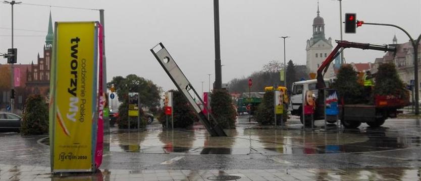 Już po kwiatach