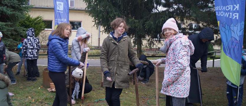 Krokusy na Pomorzanach