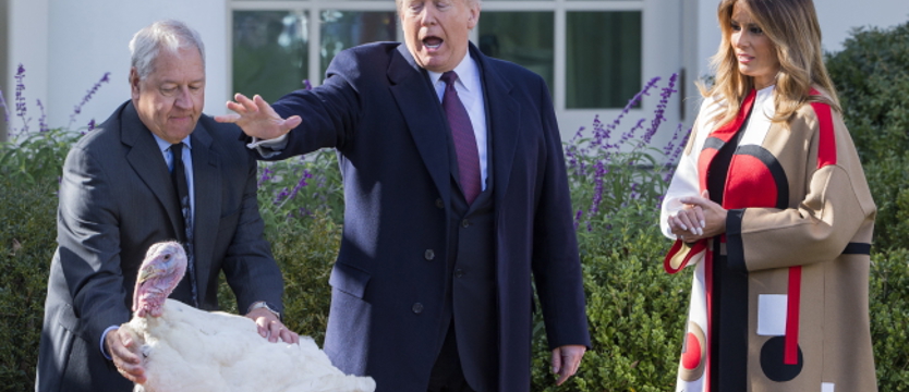 Trump ułaskawił indyki z okazji Święta Dziękczynienia