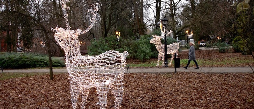Świąteczne iluminacje cieszą oczy
