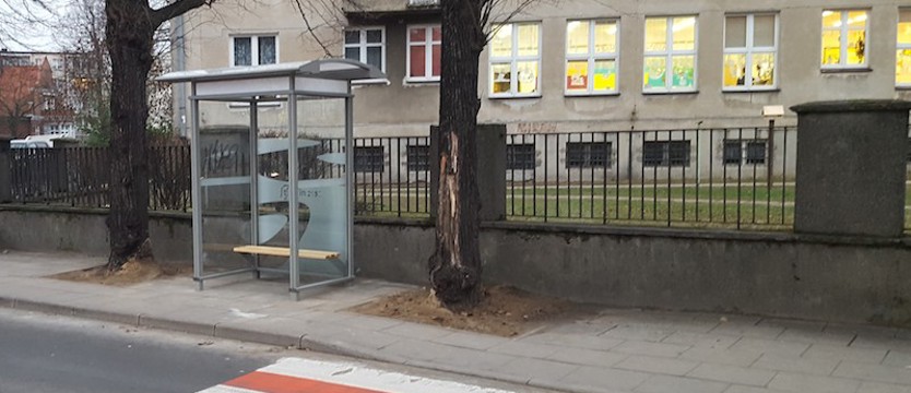 Specjalne wiaty dla „pomarańczek” w Szczecinie